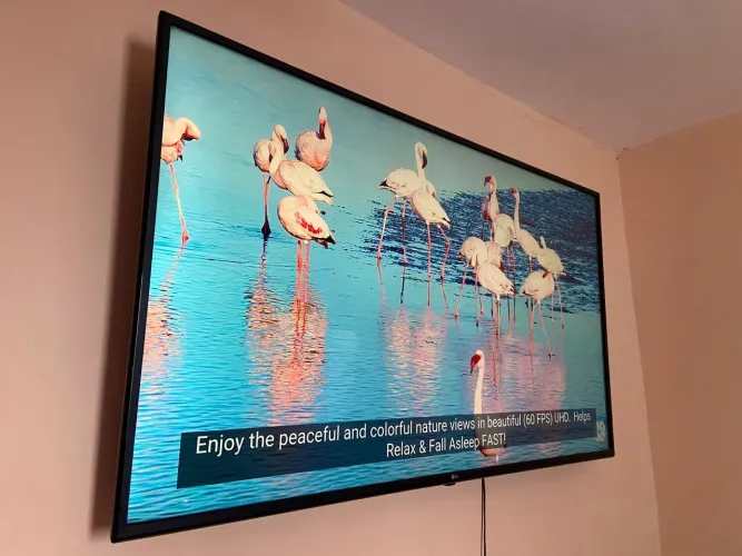 Smart LG 65 polegadas ultrapassar hdr 4k com alexa