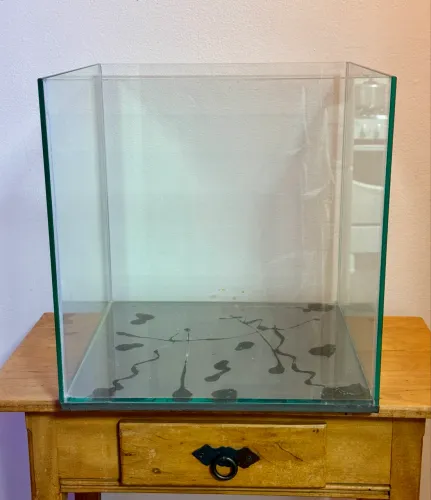 Aquário Cubo Novo 64 Litros