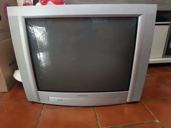 Vendo televisão 