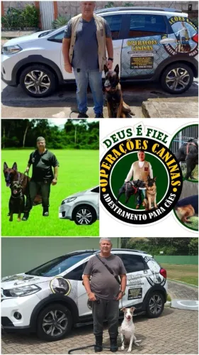 Adestramento de Cães