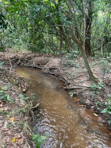 Sítio em Aldeia - 3 escrituras- Excelente investimento