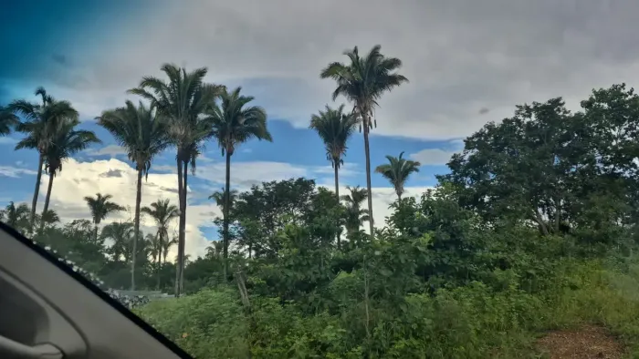 Vendo Fazenda em Januária MG