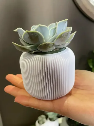 Vasos Decorativos 3D