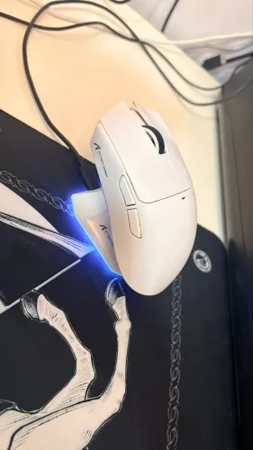 mouse attack shark x 11