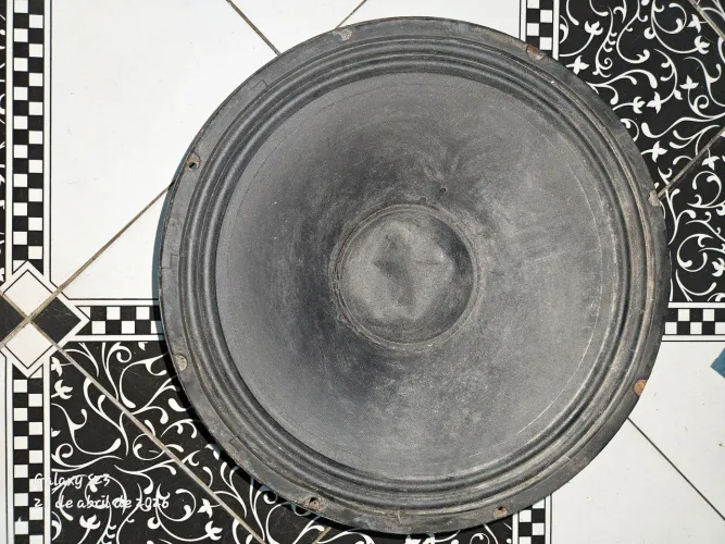 Alto Falante de 18 Polegadas de 1000 RMS da Marca Selenium ,Vendo pq Não Estou Usando.