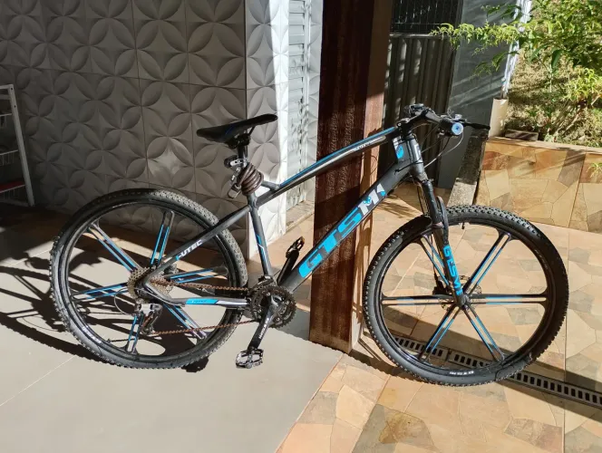 Bicicleta
