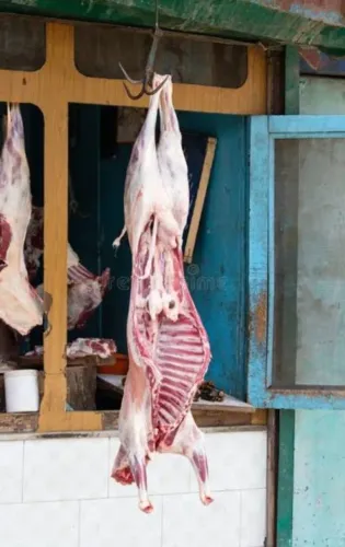 Carne de carneiro