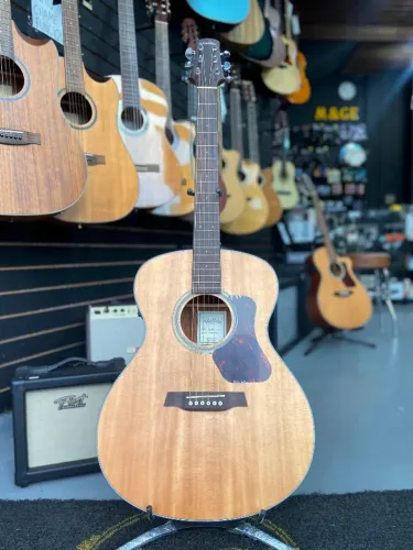 Violão Walden G550 tampo sólido aço novo