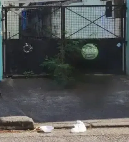 Portão de ferro 2,90 de largura