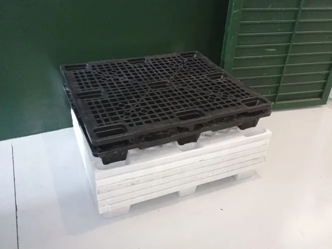 Paletes de plástico