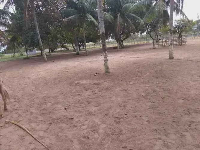 Excelente haras com 2.7 hectares na região de Macaíba bastante estruturada 100% murada