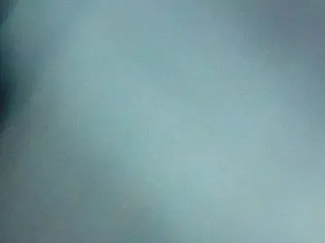 Sofá 2 e 3 lugares 