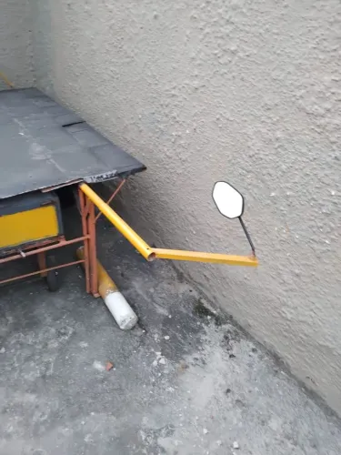 Burrinho Sem Rabo