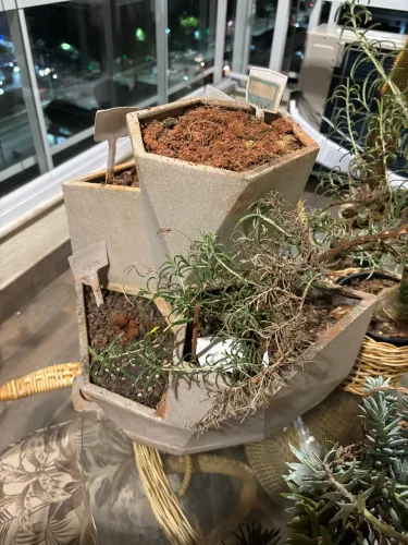 Vaso autoirrigavel jardim de temperos