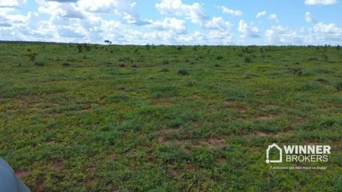 Fazenda à venda, 9300000 m² por R$ 17.500.000,00 - Zona Rural - Ponte Alta do Tocantins/TO