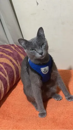 Doação
