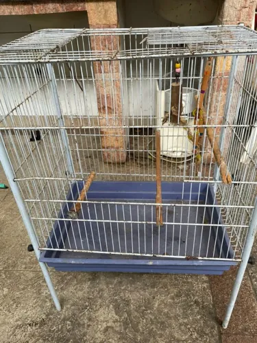 Gaiola Grande + Playground/Poleiro para Aves