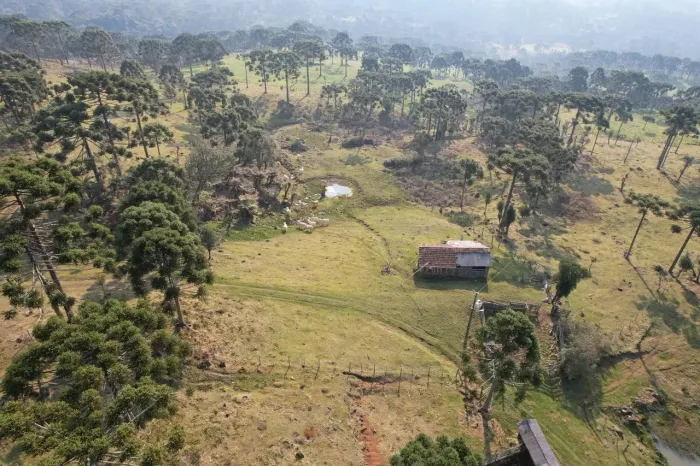 Terreno de 2 Hectares na Rota das Cachoeiras - Urubici/SC