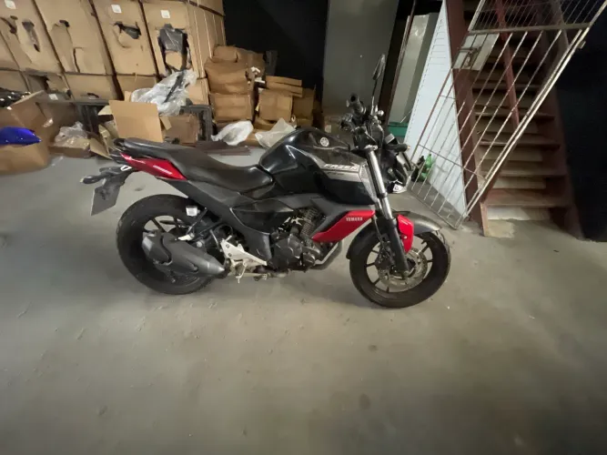 Fz15 2023