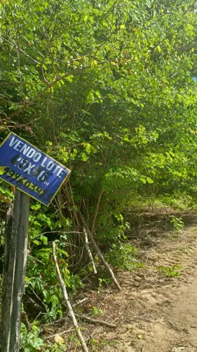 Sítio para granja
