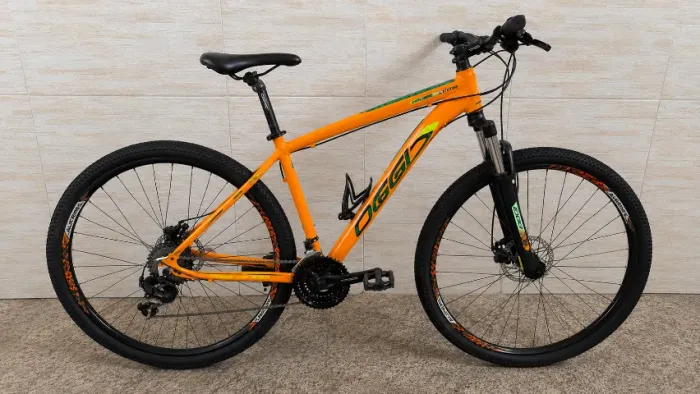 Bicicleta aro 29 oggi