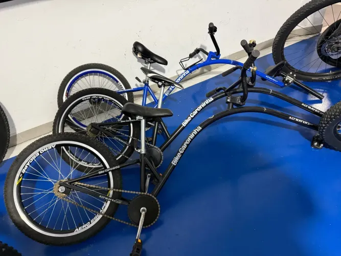 Bicicleta - Caroninha - Reboque Criança Altmayer
