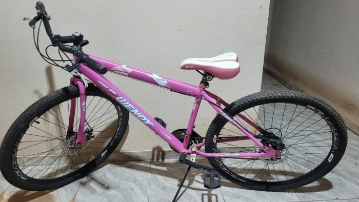 Bicicleta Aro 29