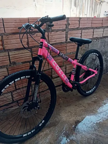 Bicicleta