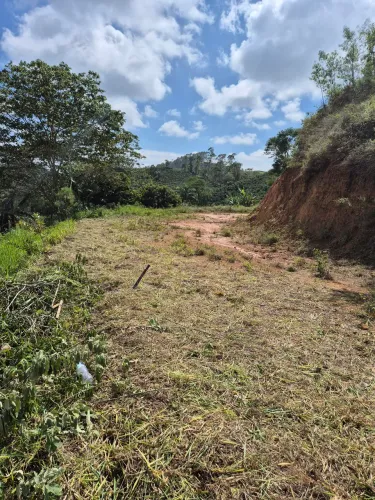Terreno Patrimônio da Penha Vista livre 700m2