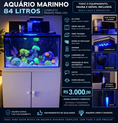 AQUÁRIO MARINHO COMPLETO