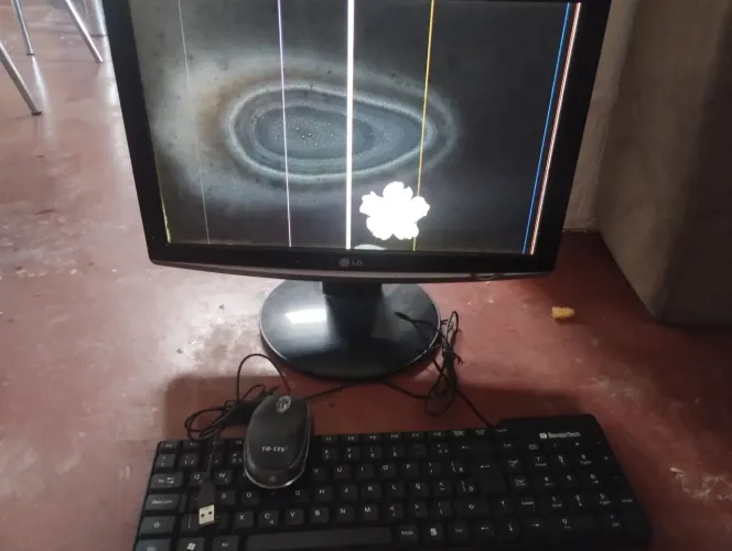 Monitor LG