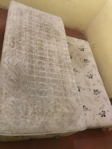 Cama
