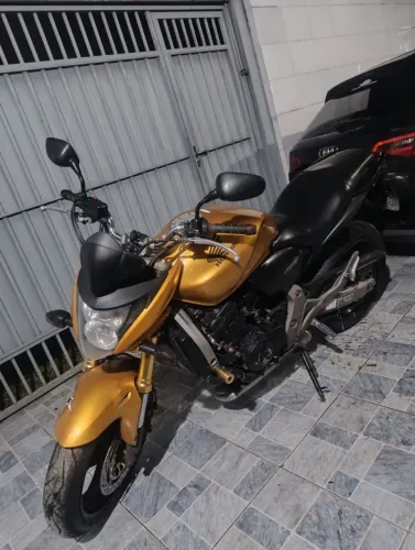 Hornet 