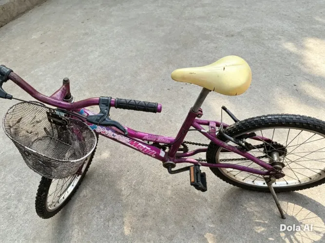 Bicicleta infatil e adulto.