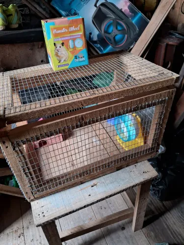 Viveiro terrario com acessórios para hamster 