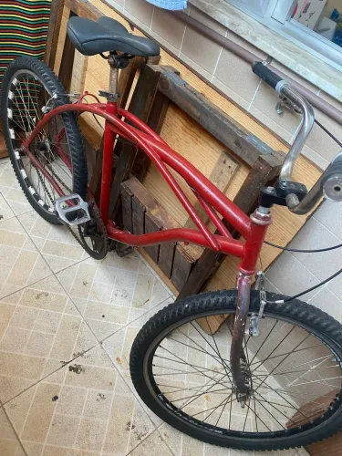 Bicicleta