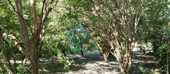 Lote para Venda em Contagem, Centro