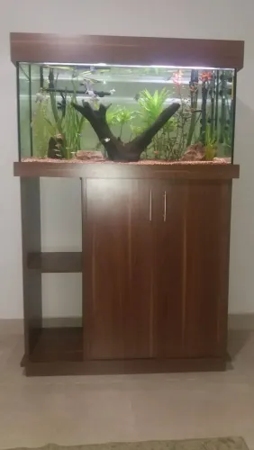 Aquário completo 200lts