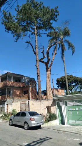 Terreno (Para empreendimento) para Aluguel, 1000m² - Bairro Santa Etelvina em São Paulo