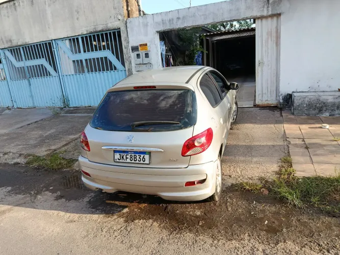 Peugeot 207 XR 1.4 Flex 8V 5P 2013