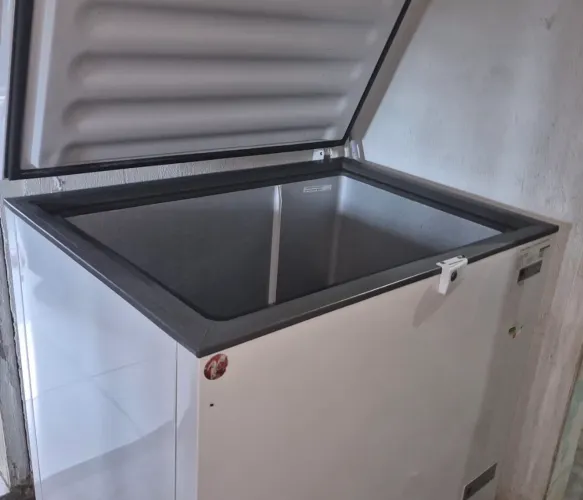 Freezer horizontal
