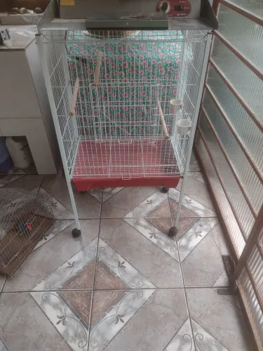 Gaiola para Calopsita