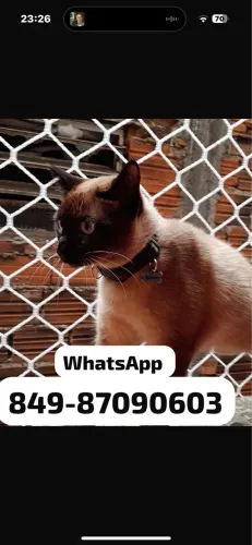 Telas de proteção 