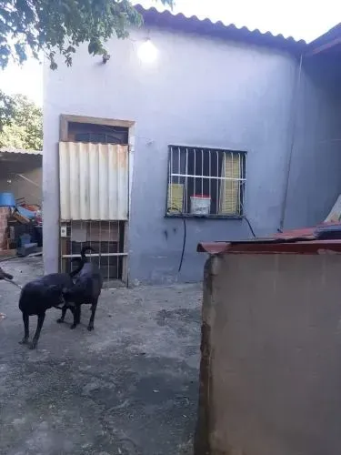 CASA NA (ÁGUAS BRANCAS )