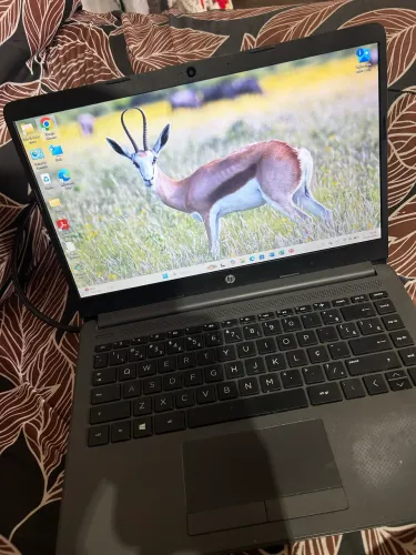 NOTEBOOK HP 240 G8 - INTEL CORE i5 11ª GERAÇÃO