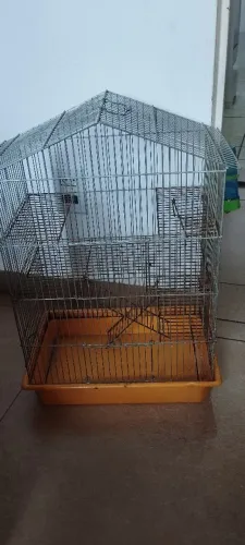 Gaiola para roedores 