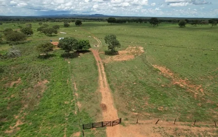 - Fazenda de 133 alqueires em Porangatu - GO