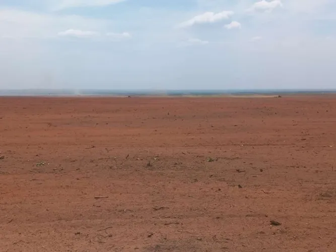 Fazenda 11 mil  Hectares  município de Pedro Afonso 
