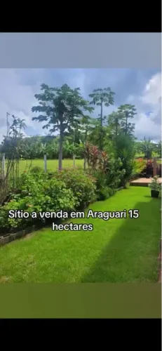 Vendo sítio próximo Araguari 15 hectares