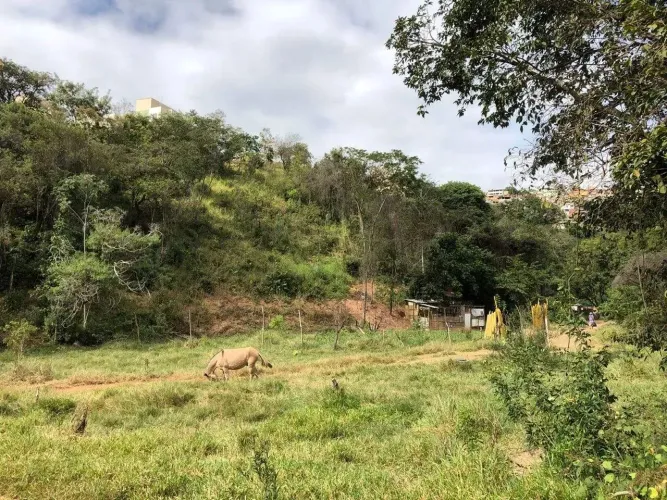 Lote - Terreno à venda, Granja de Freitas - Belo Horizonte/MG